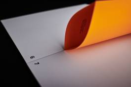 ISABELLA WITZANY-WOKALEK