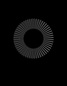 ISABELLA WITZANY-WOKALEK