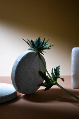 ISABELLA WITZANY-WOKALEK