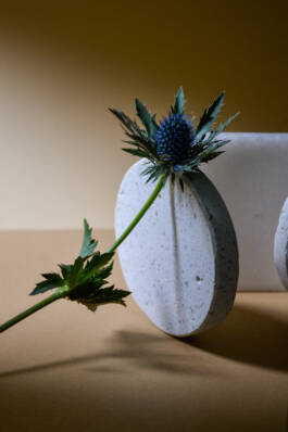 ISABELLA WITZANY-WOKALEK