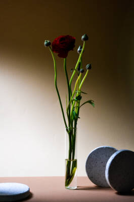 ISABELLA WITZANY-WOKALEK