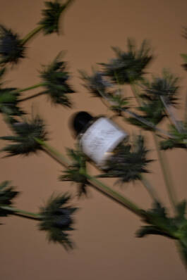 ISABELLA WITZANY-WOKALEK