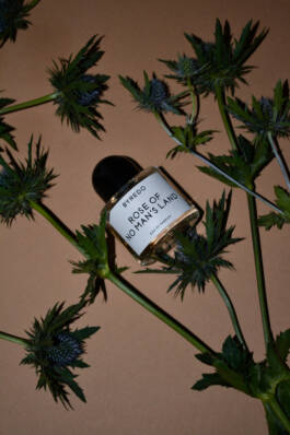 ISABELLA WITZANY-WOKALEK