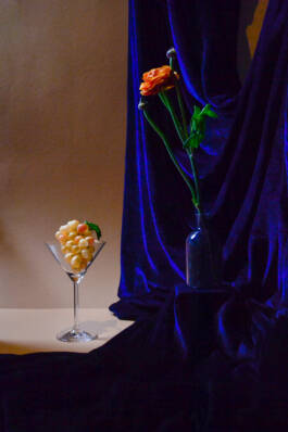 ISABELLA WITZANY-WOKALEK