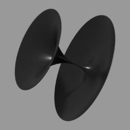 ISABELLA WITZANY-WOKALEK