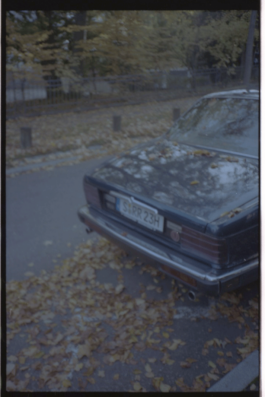 ISABELLA WITZANY-WOKALEK