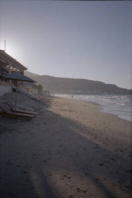 ISABELLA WITZANY-WOKALEK