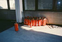 ISABELLA WITZANY-WOKALEK