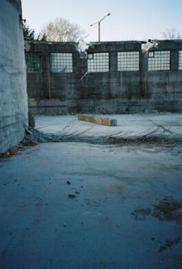 ISABELLA WITZANY-WOKALEK