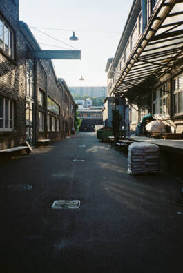 ISABELLA WITZANY-WOKALEK