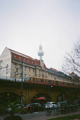 ISABELLA WITZANY-WOKALEK