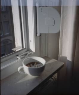 ISABELLA WITZANY-WOKALEK